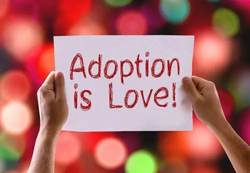 Working With An Adoption Attorney In Florida